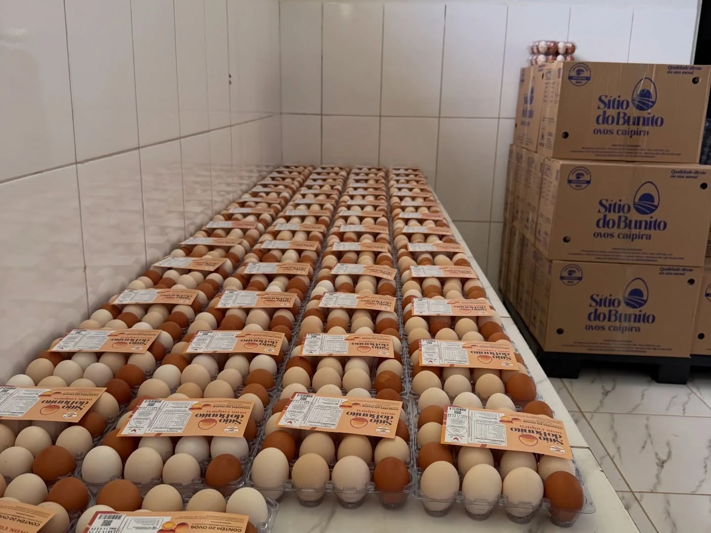 Bandejas de ovos rotuladas e caixas Sítio do Bunito no entreposto